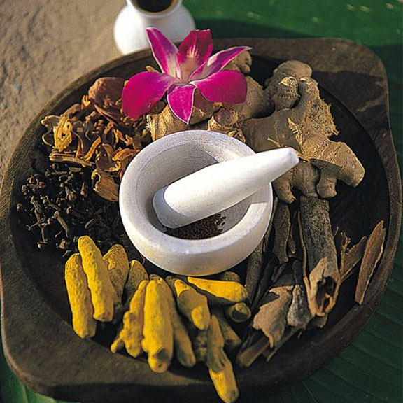 Vital Herbs - Ayurvedic Treatments