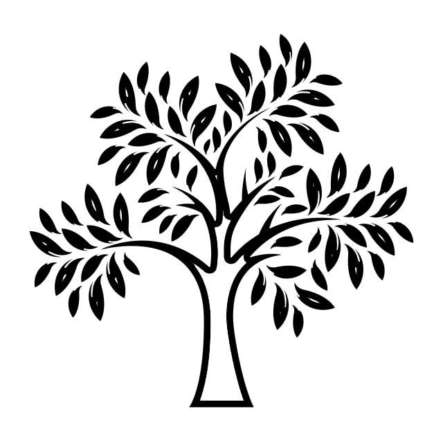 SRK HOspital ambience