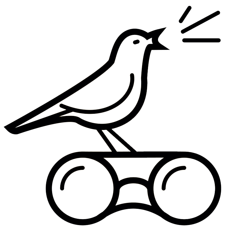 Birds watching in hospital